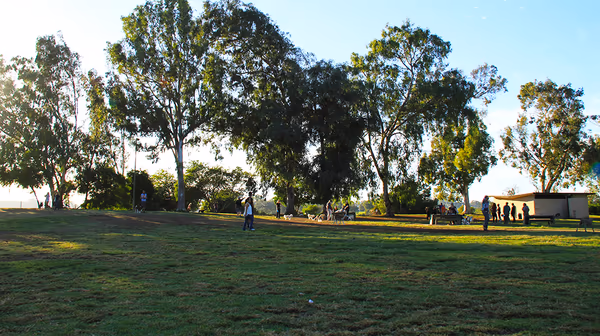 Grape Street Dog Park